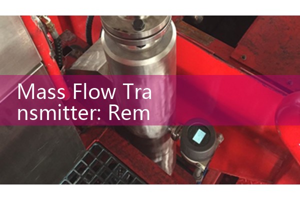 Mass Flow Transmitter: Remote vs Integral Mount